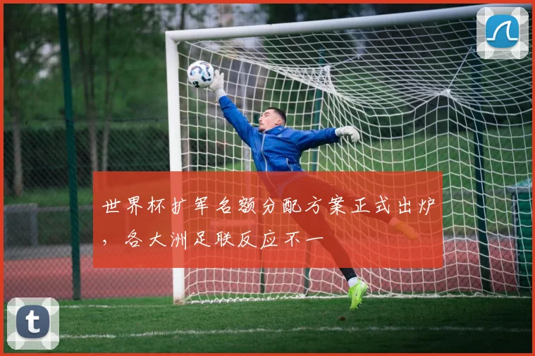 世界杯扩军名额分配方案正式出炉，各大洲足联反应不一