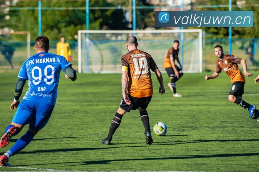 数据防护可视化